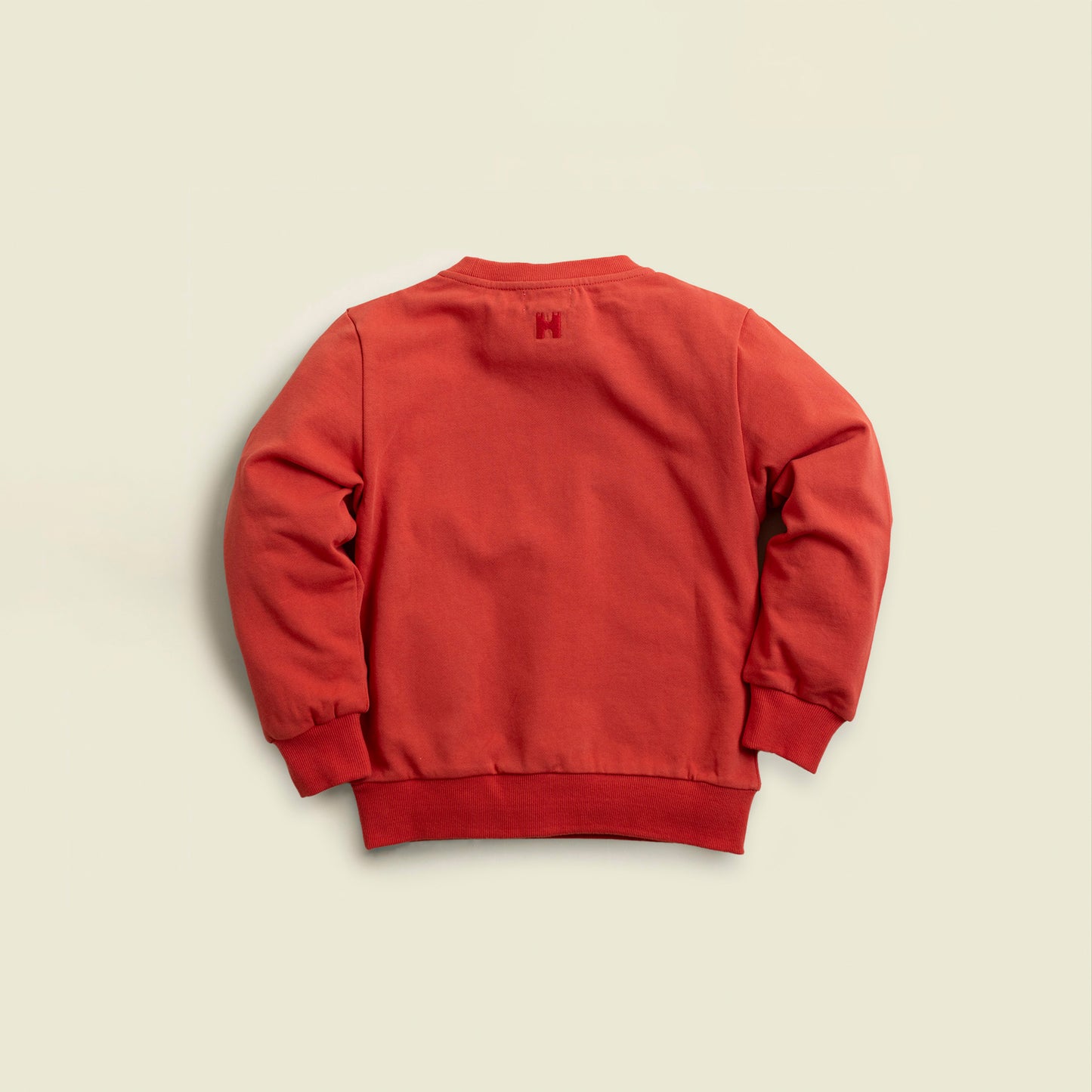 Kids Crewneck Sweatshirt Red Back