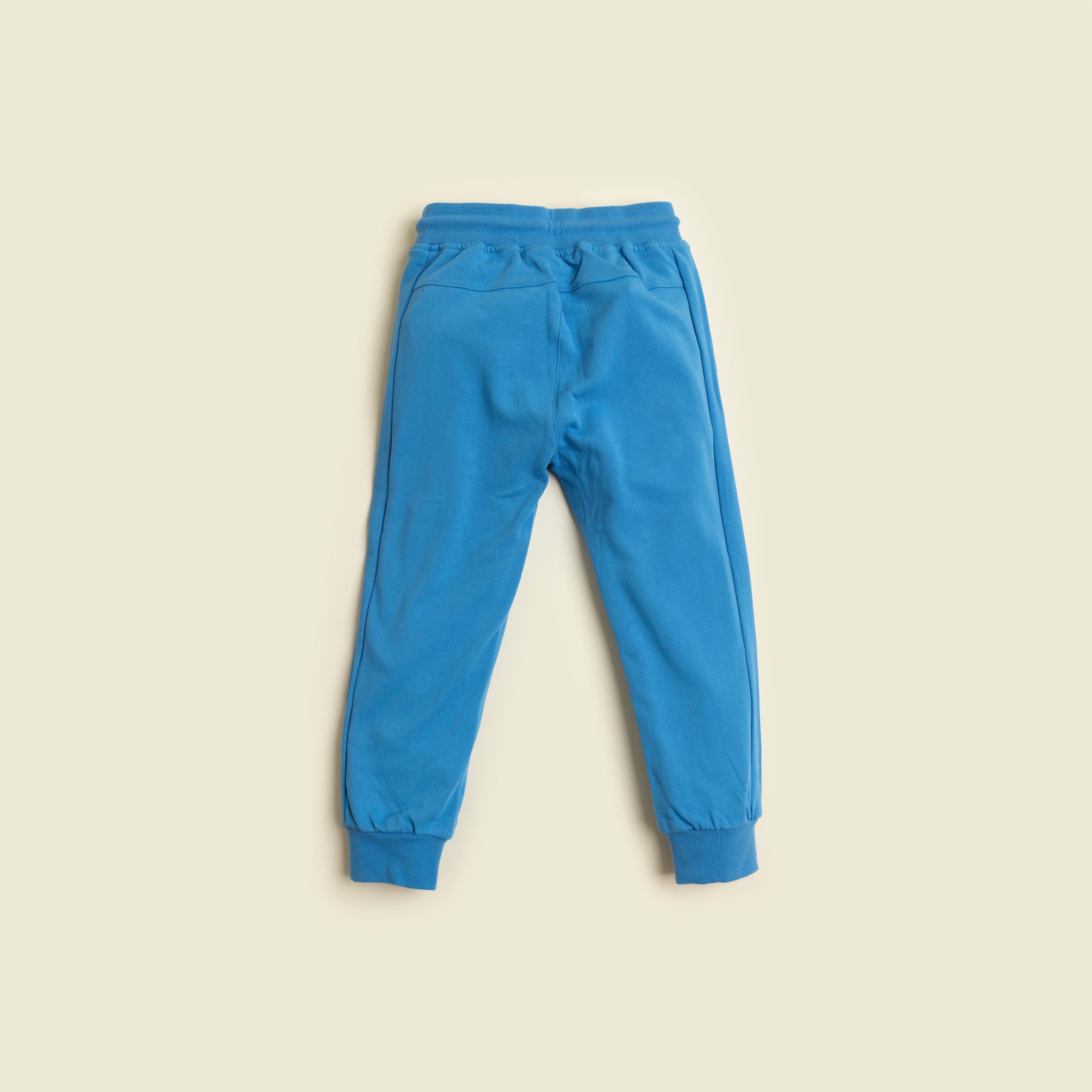 Buy STOP Royal Blue Color Block Cotton Regular Fit Boys Track Pants |  Shoppers Stop