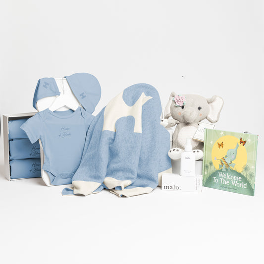Grand Baby Shower Gift Box - Blue
