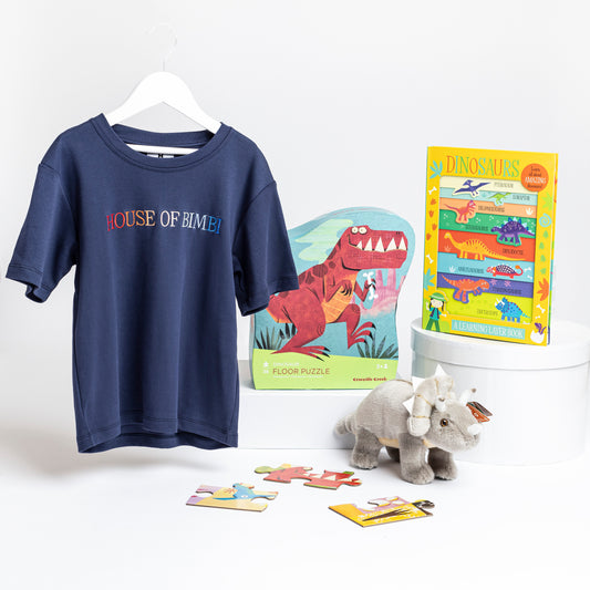 Dino Discovery Gift Box