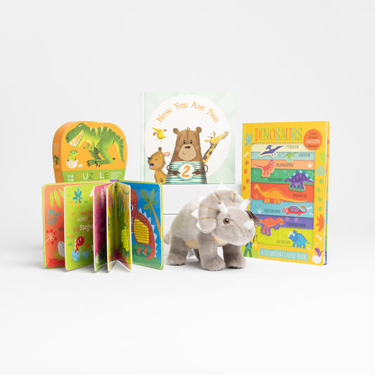 2nd Birthday Gift Box - Dino