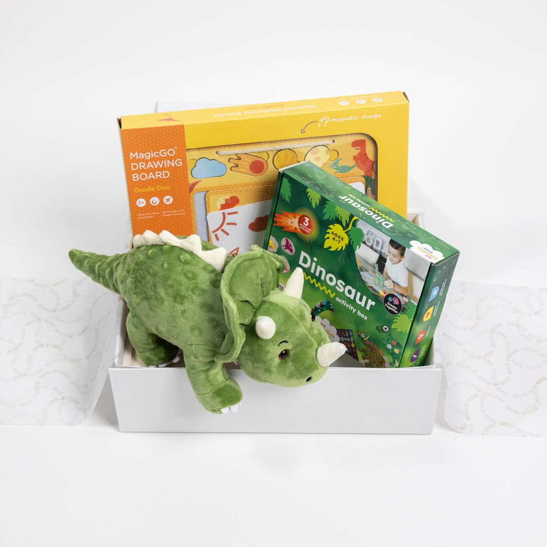 Dinosaur Gift Box