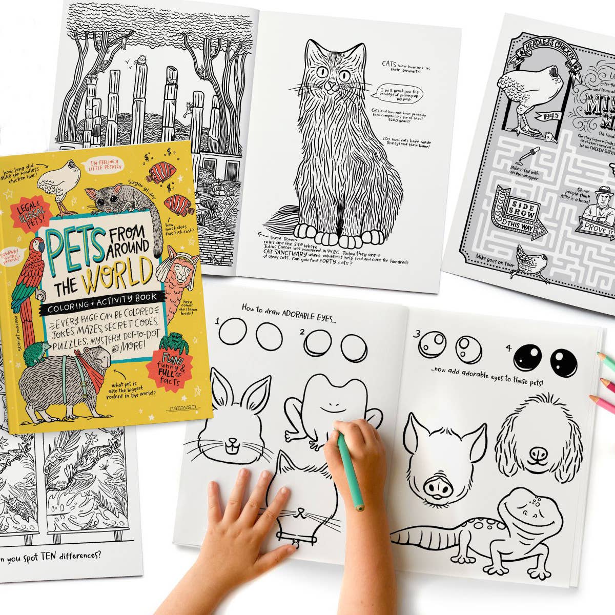 YOUR VERY FAVORITE - Activity Book