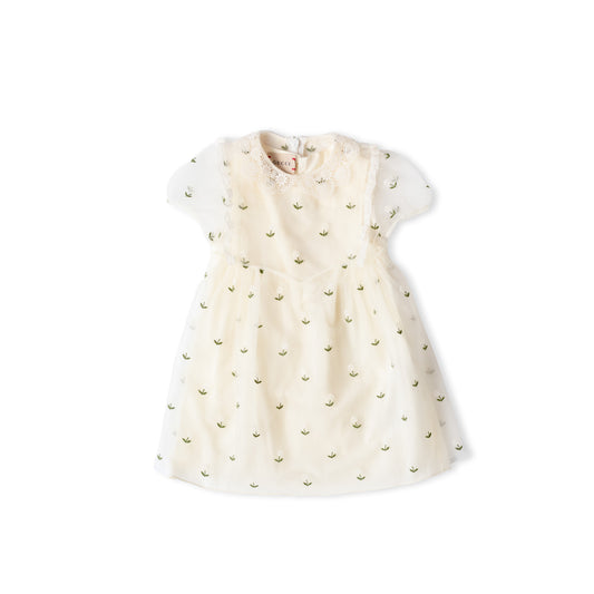 Baby Tulle Dress with Embroidery Front
