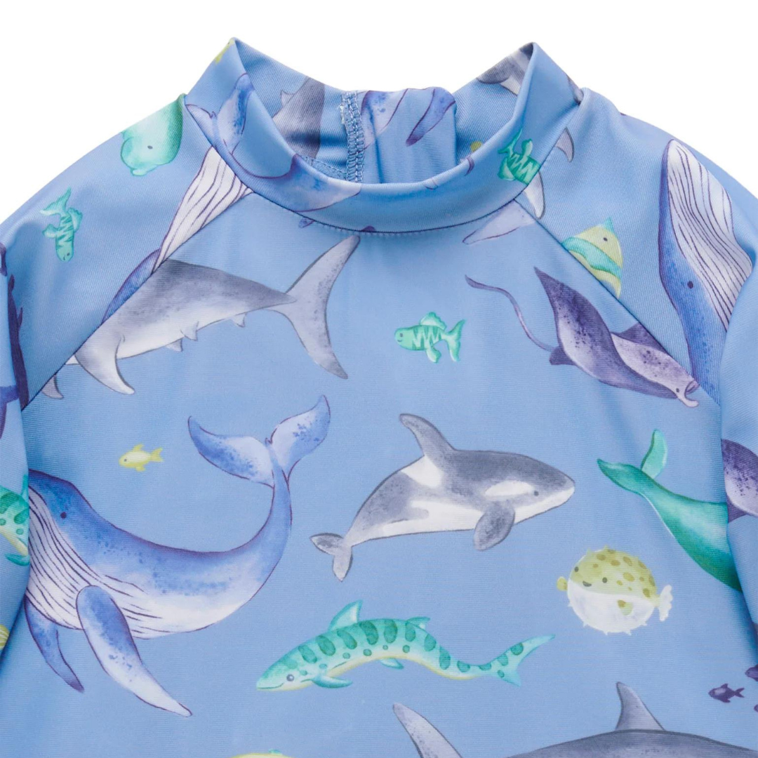 Pure Baby - Long Sleeve Shark Rashie Close Up