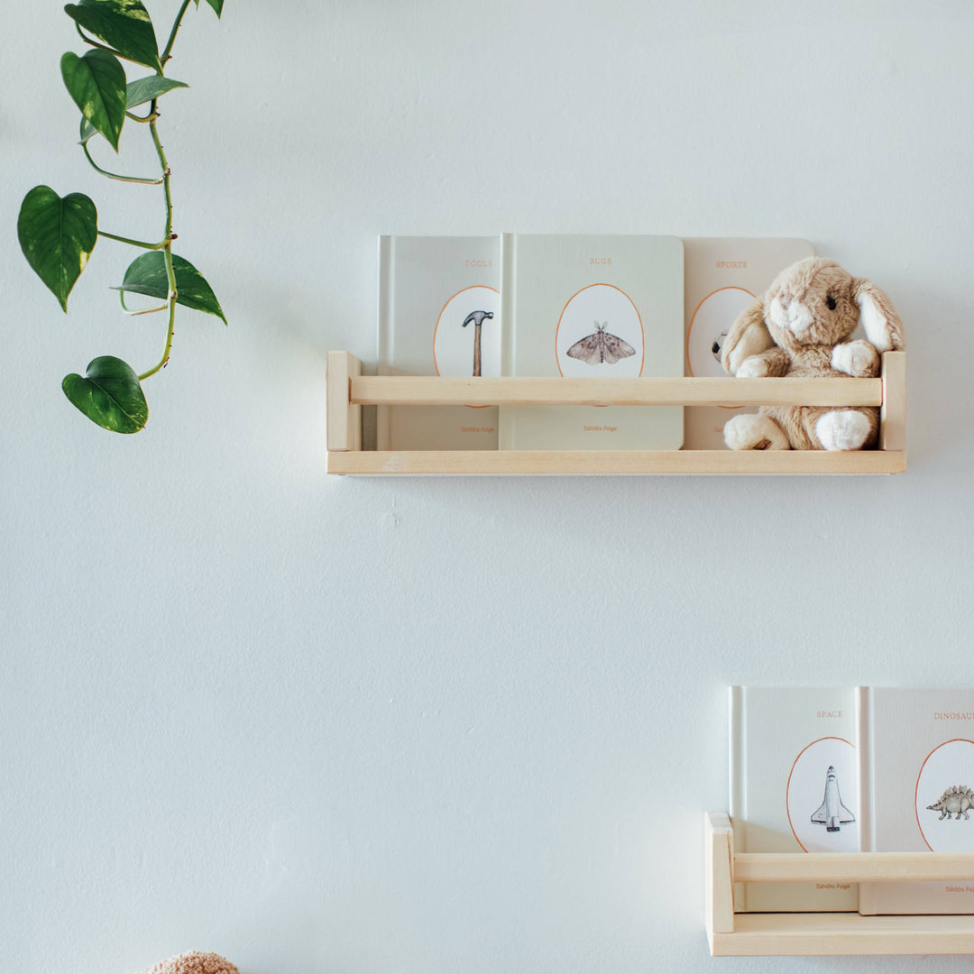 Paige Tate & Co baby book set 