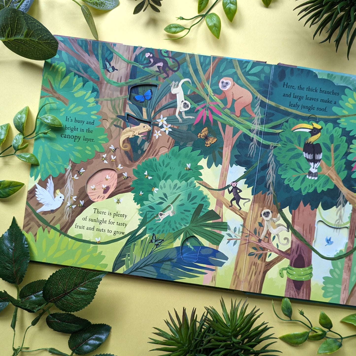 Nature Die Cut Book - Rainforest