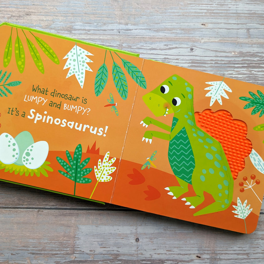 Touch and Feel Silicon Board Book - Dinosaurs