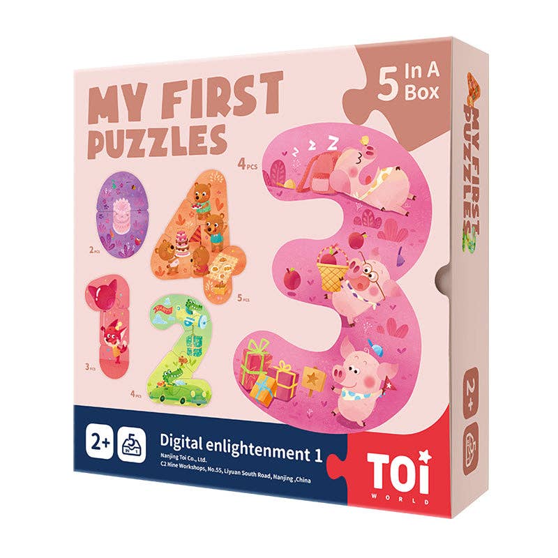 Toi World - Toddler First Puzzle