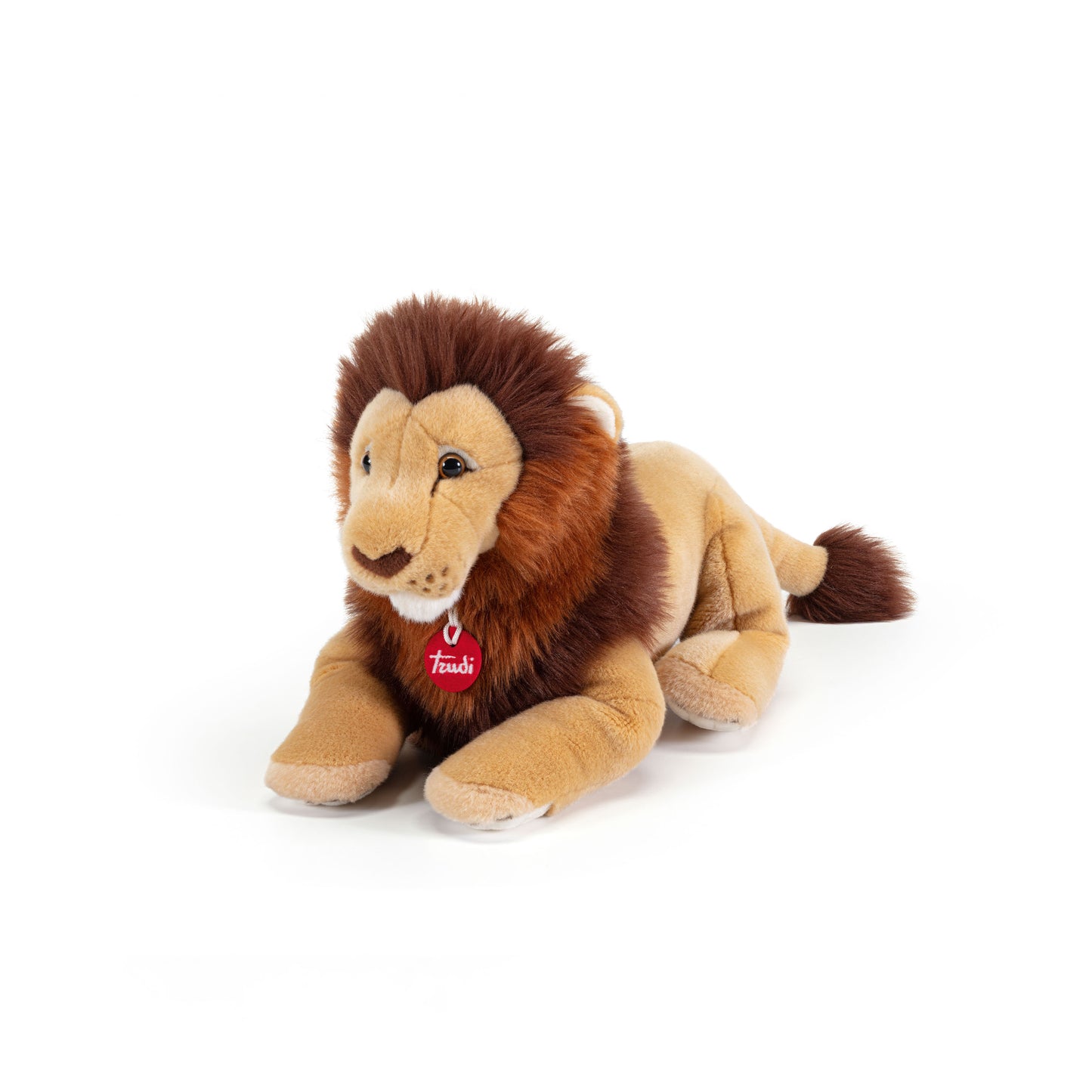 Lion Narciso Front