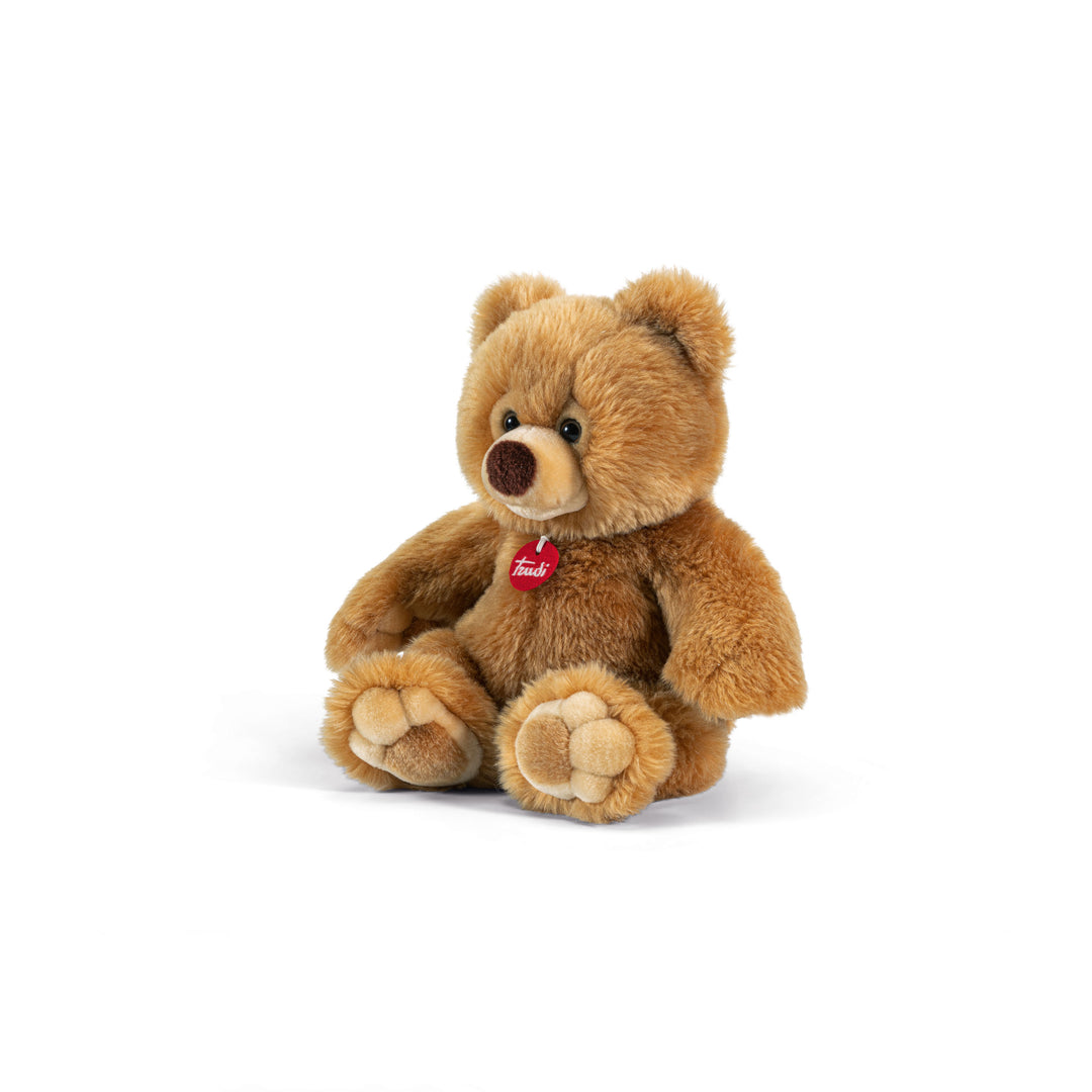 Adorable Kids Teddy Bear