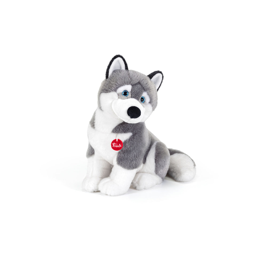 Husky Toy